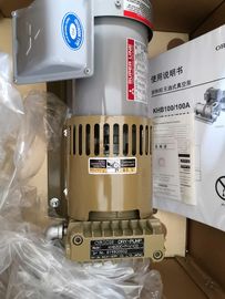 NPM Vacuum Pump N610124205AC