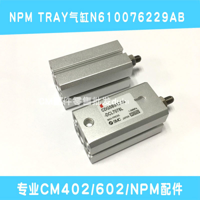 N610076229AB NPM TRAY CYLINDER CDQSBS12-20-DCL7078L